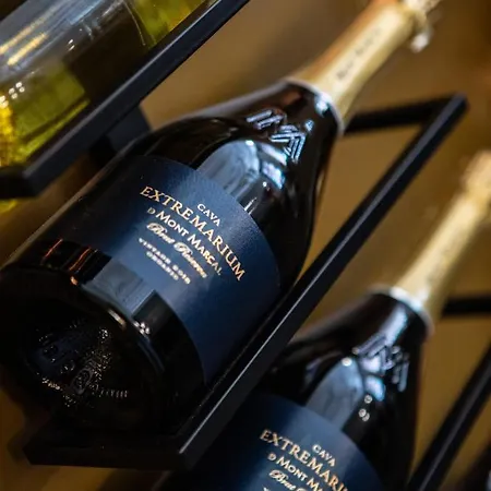 Poorter Boutique Hotell Brielle