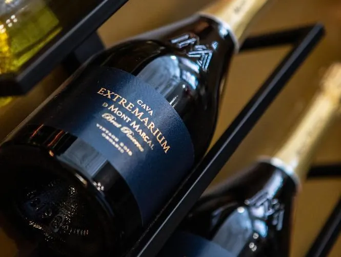 Poorter Boutique Hotel Brielle